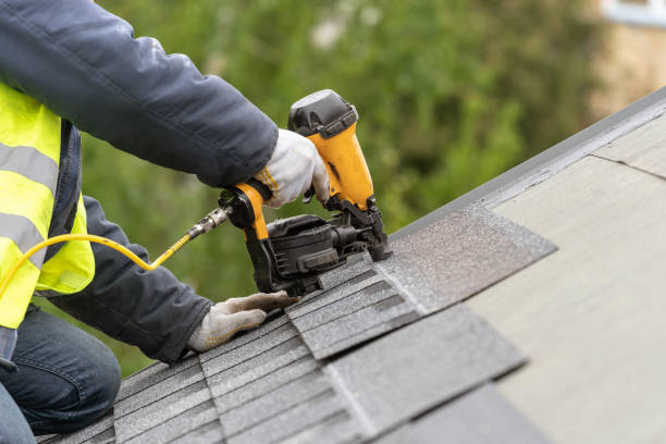 Best Asphalt Shingle Roofing  in Rio Rico, AZ